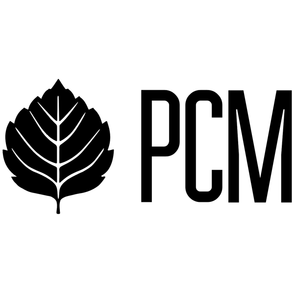 Российский Союз Молодёжи